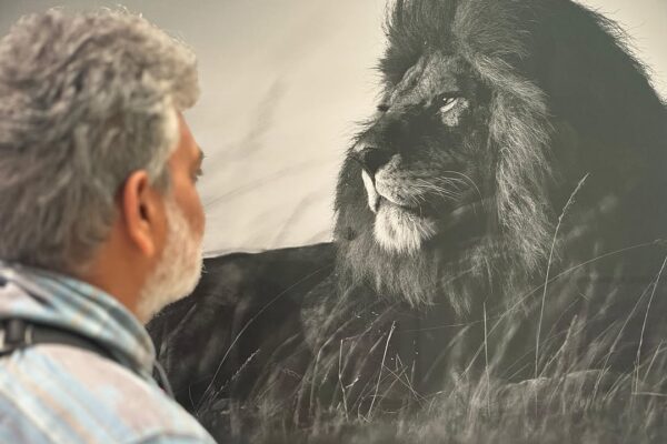 Rajamouli looking at lion