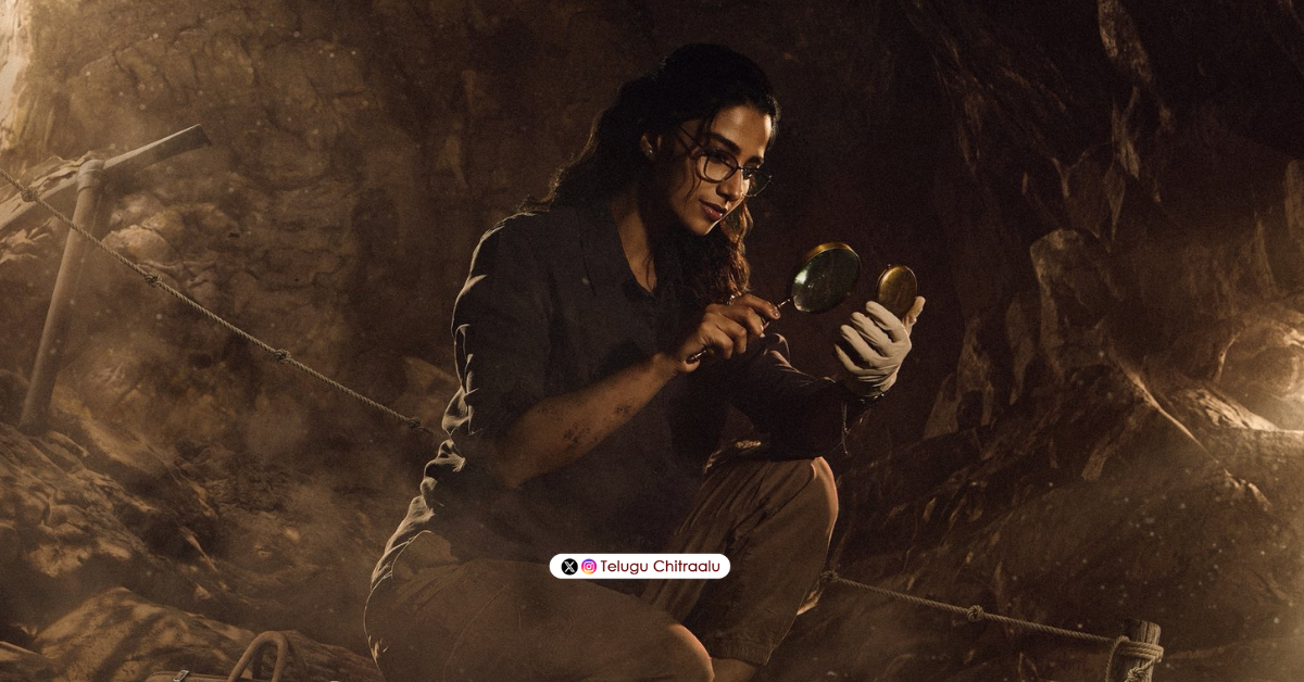 Meenakshi Chaudhary in NC24